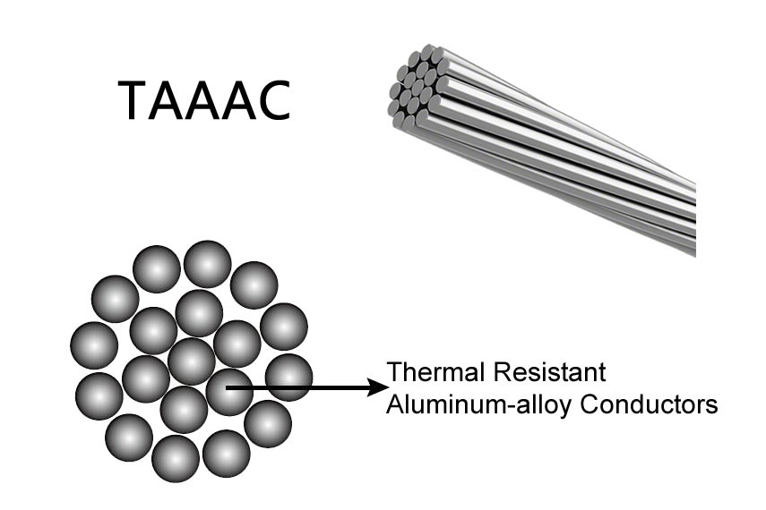 TAAAC Conductor