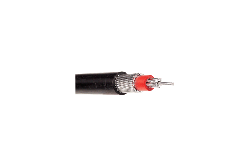 Single Phase Concentric Aluminium Cable